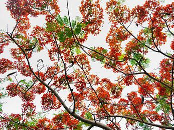 《滚弹吧僵尸》今日发售！弹珠弹不停，僵尸满天飞！