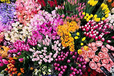 3DM速报：QQ被盗？你扫了假的游戏登录二维码，手游《幻塔》上架Steam